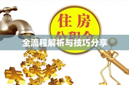 潼南全流程解析与技巧分享
